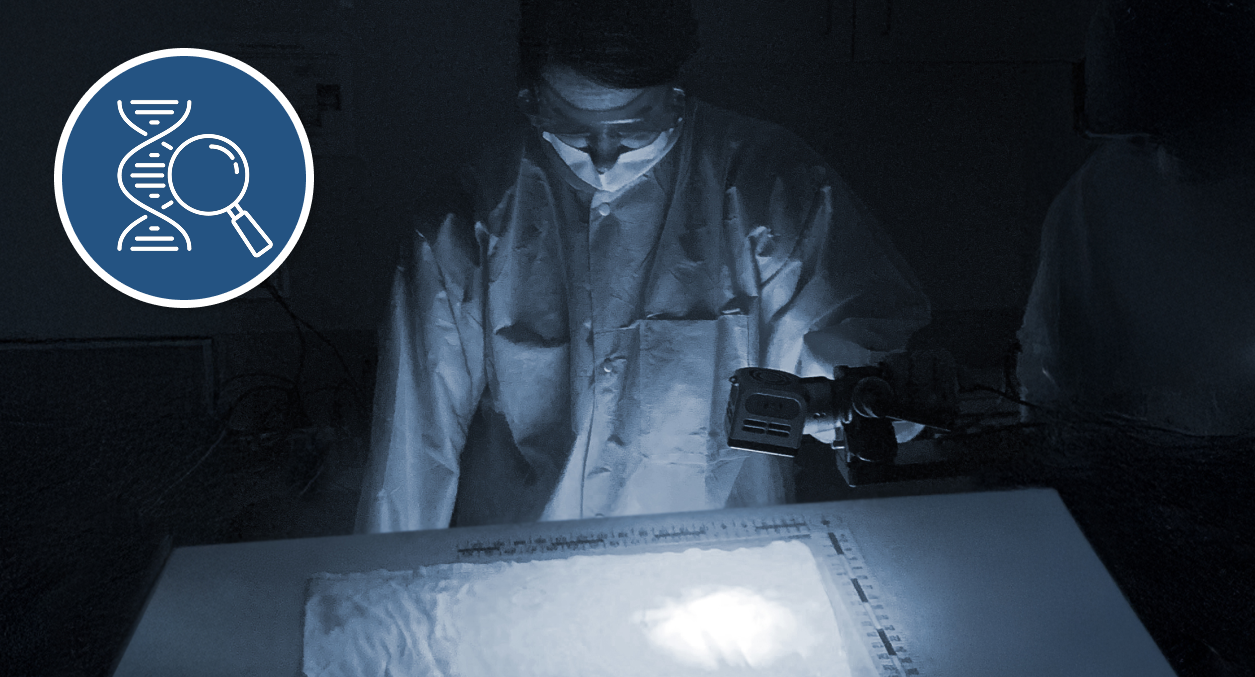 Photo of a laboratory technician examining fabric with an alternate light source. Also an icon with a magnifying glass and a strand of DNA.