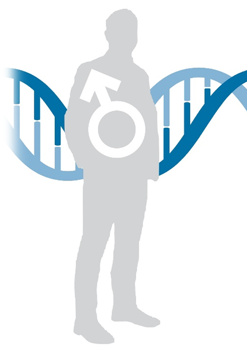 Illustration of a male figure with the circle-and-arrow "male" symbol on it and a strand of DNA in the background.