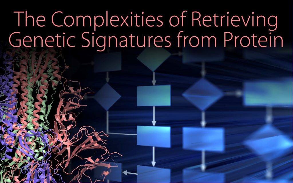 Collage of a protein model and a stylized rendering of a flow chart. Text reads: "The Complexities of Retrieving Genetic Signatures from Protein."