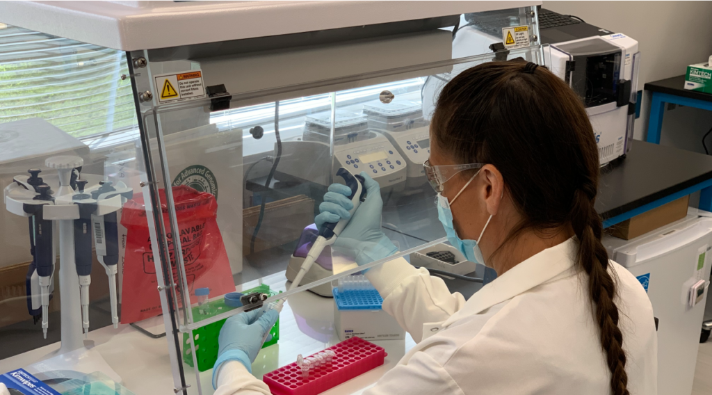 Masked lab technician working under a hood. She is using a pipette to add or extract material from a vial.