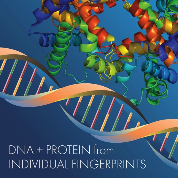Stylized DNA helix and protein model. Text reads "DNA + Protein from Individual Fingerprints"