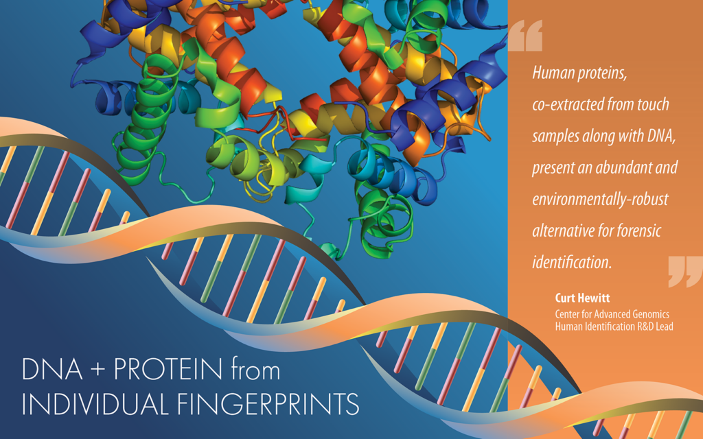 An image of DNA and Proteins with the title "DNA + Protein from Individual Fingerprints" on the right is a quote from Curt Hewitt, Center for Advanced Genomics, Human Identification R&D Lead "Human proteins, co-extracted from touch samples along with DNA, present an abundant and environmentally-robust alternative for forensic information.