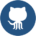 GitHub Logo