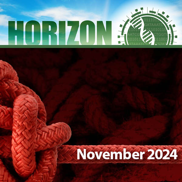 Thumbnail for Horizon Newsletter - November 2024