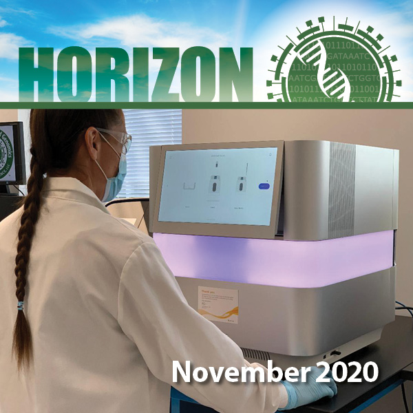 Thumbnail for Horizon Newsletter - November 2020