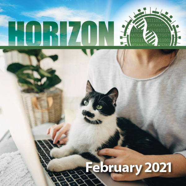 Thumbnail for Horizon Newsletter - February 2021