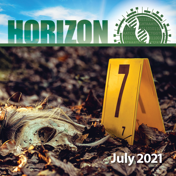 Thumbnail for Horizon Newsletter - July 2021
