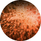 Abstract image of biological material