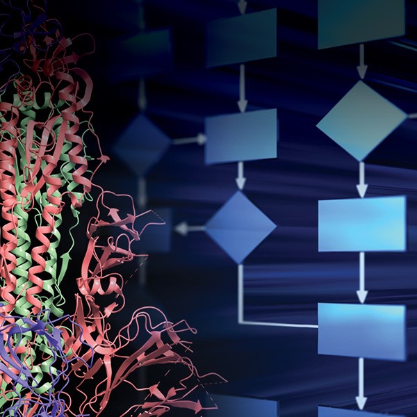Image of a protein model and a workflow diagram