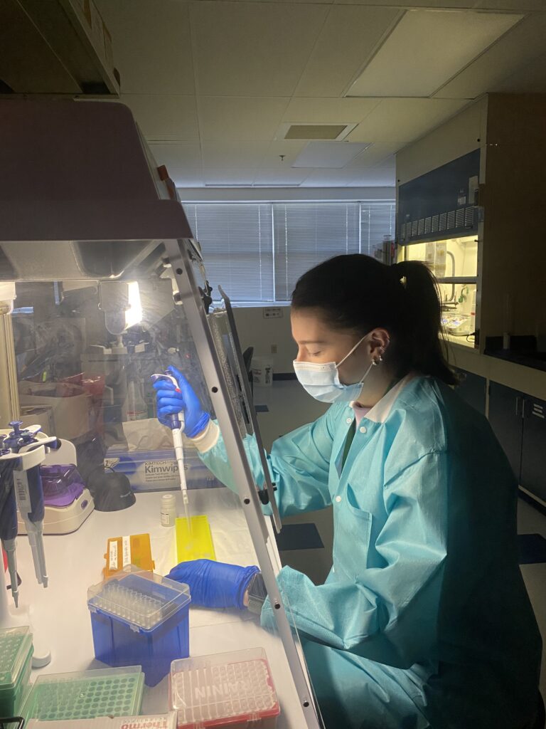 A woman in a lab coat, glovesk and a mask pipettes under a biological safety hood.
